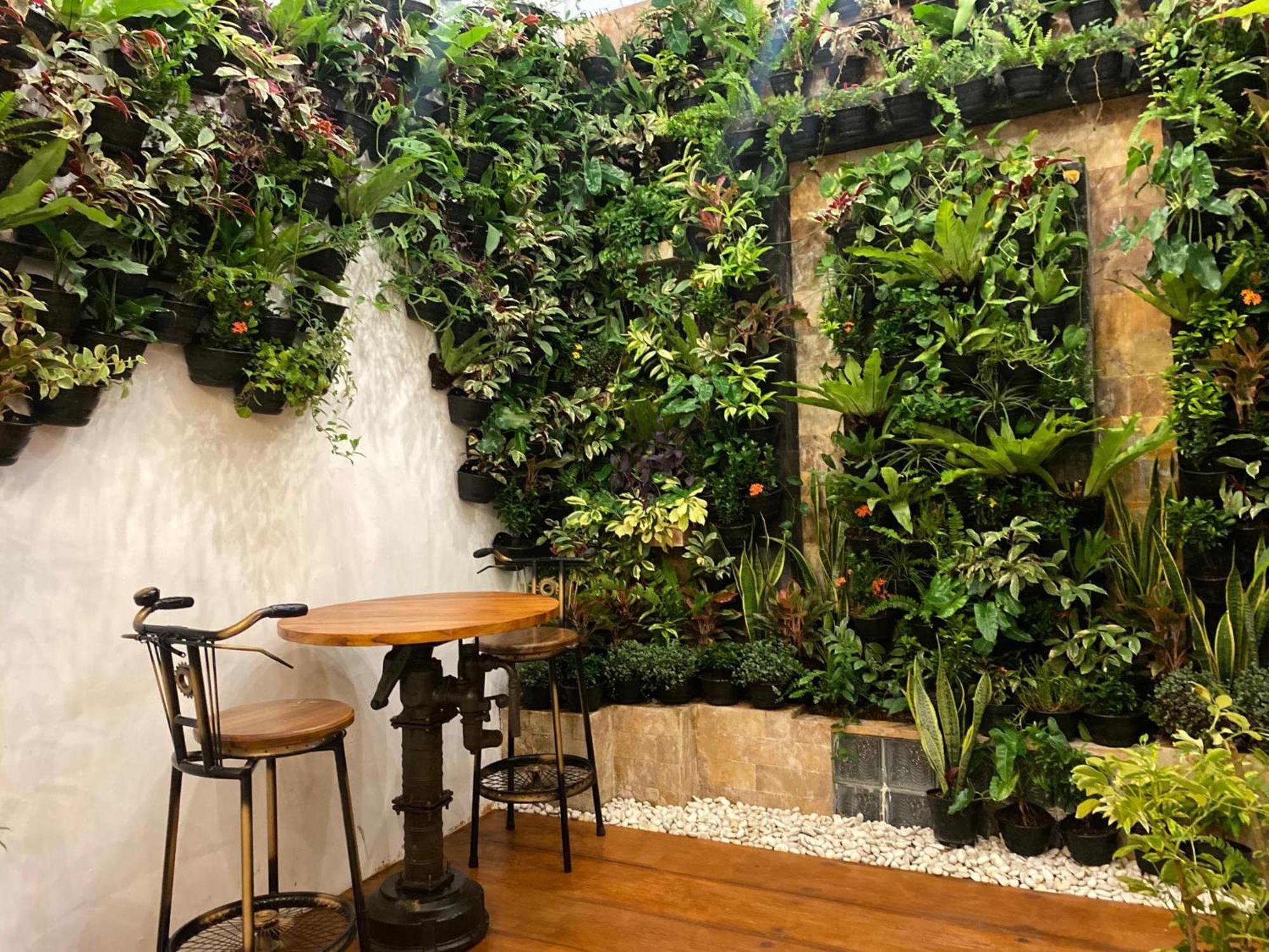 Revive By Snooze Hostel บันยูวังงี ภายนอก รูปภาพ
